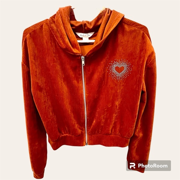 Birch and Stone Burnt Orange Velvet cropped Hoodie sweatshirt and Rhinestones - Picture 1 of 4